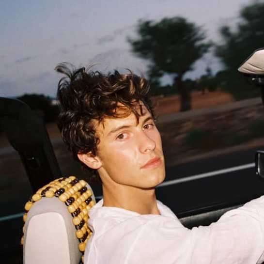 Shawn Mendes Reminisces His Last "Summer Of Love"