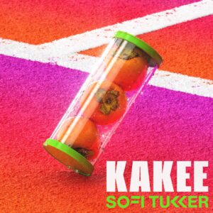 Sofi Tukker "Kakee" single cover