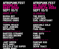 Huge Headliners for the Return of Brooklyn's AFROPUNK Festival