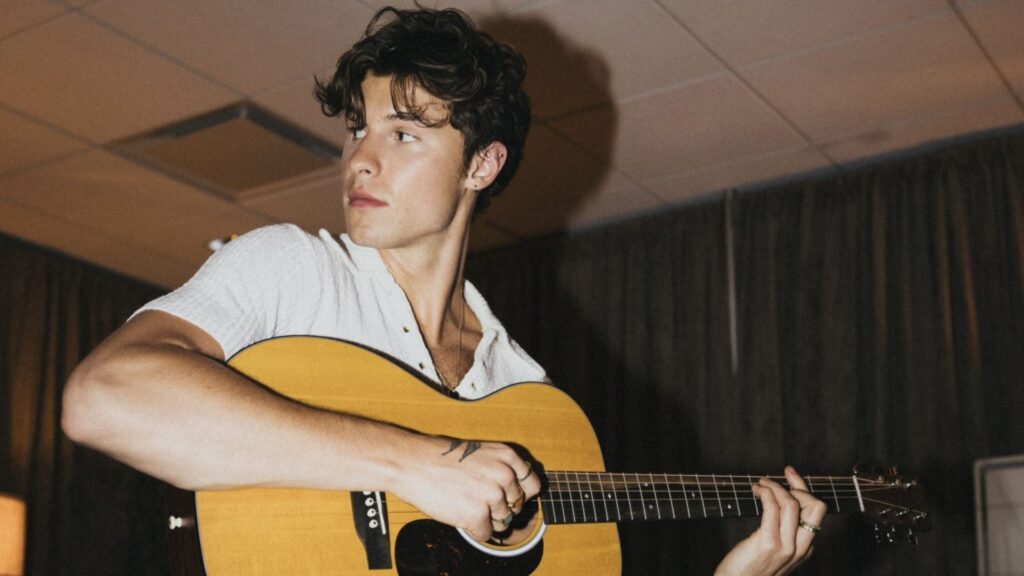 Shawn Mendes signature guitar