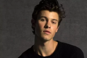 Shawn Mendes Concert Cancellation