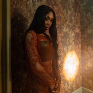 Our latest pick for a music discovery is the beautiful and talented Rileyy Lanez. She released her debut album 'Bittersweet' on December 2.