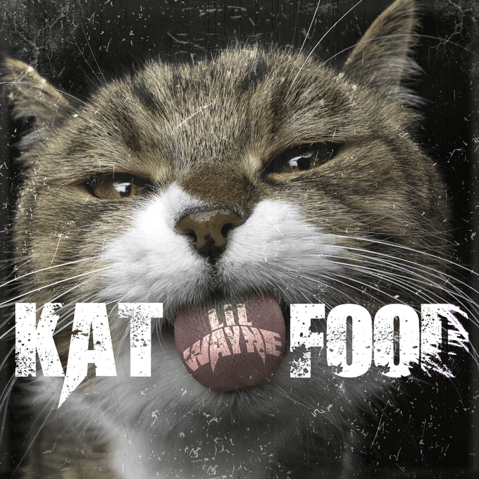 lil wayne "kat food"