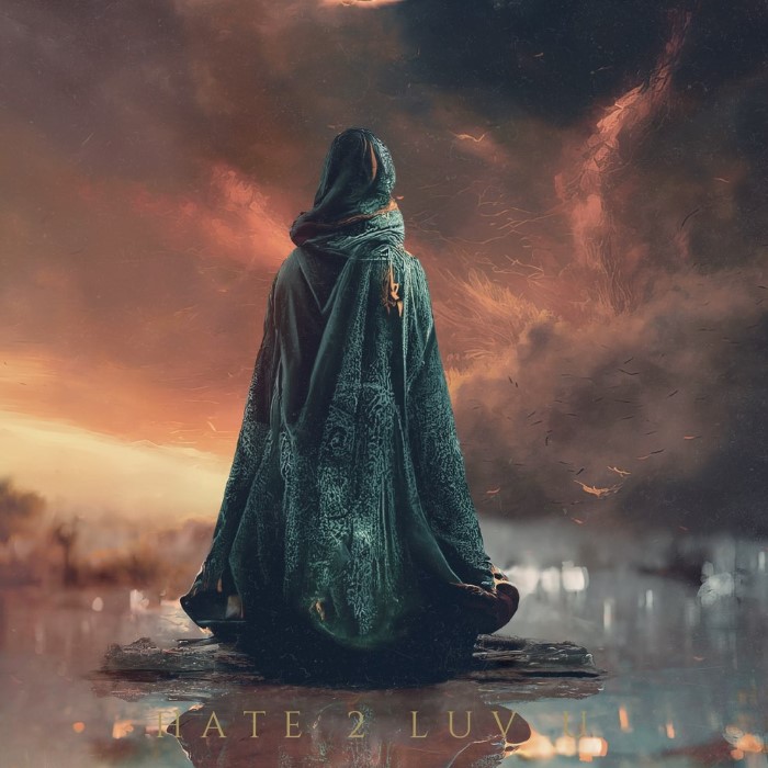 The cover for Australian born, LA based emo pop singer AViVA's fourth studio album, "HATE 2 LUV U."